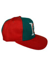 90's ds miami dolphins sports specialties back-script snapback