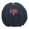 90s Detroit Red Wings EmbroideredSweatshirt