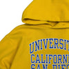 90s University of California San Diego Hoodie