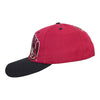 90s San Francisco 49ers Hat