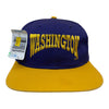 90s Washington Huskies Hat