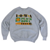 Vintage 1988 Iowa Peach Bowl ss