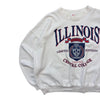 90s Illinois College Sweatshirt